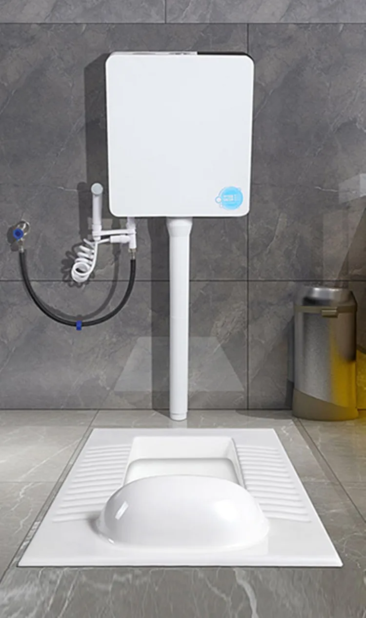 China factory ceramic squatting toilet with flush