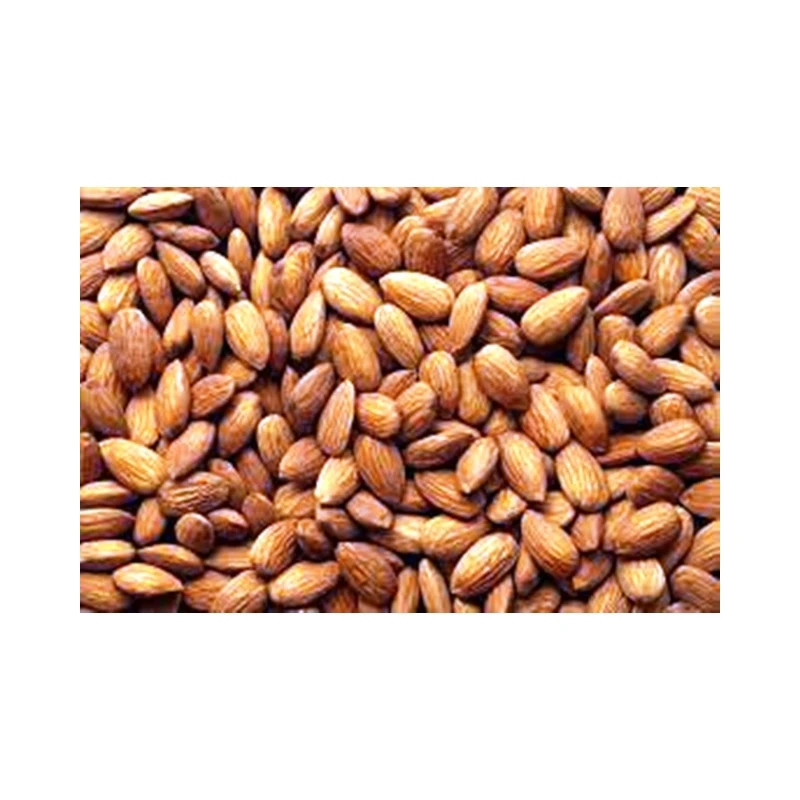 Wholesale Casual Snacks Dried Fruit Original Shelled Almond Nuts Top Selling Best Food Grade Almond Nuts from Tanzania