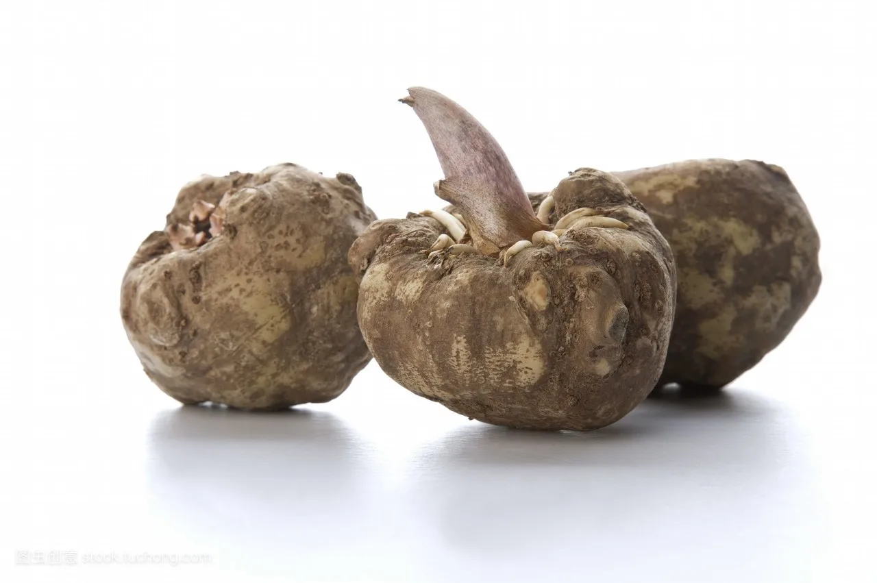 
100% Nature konjac extract glucomannan powder 