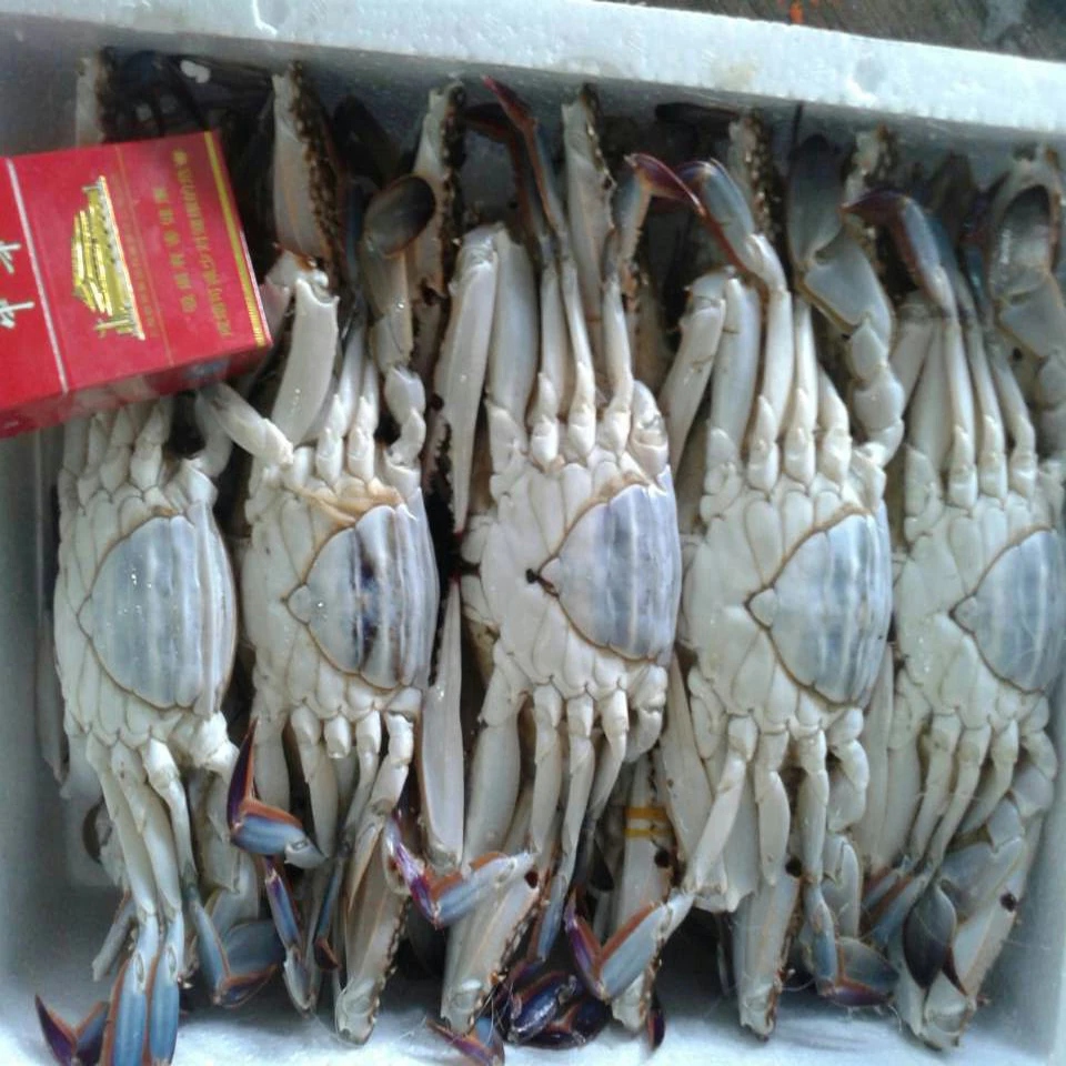 best service BLUE CRAB Sales Price fat Frozen Crab cut crab raw material block in stock