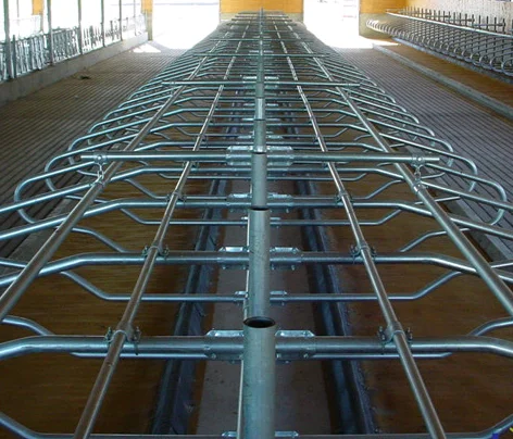 Cow Free Stall Dairy Cattle Free Stalls Portable Cow Cubicles Cattle Livestock Divided Equipment