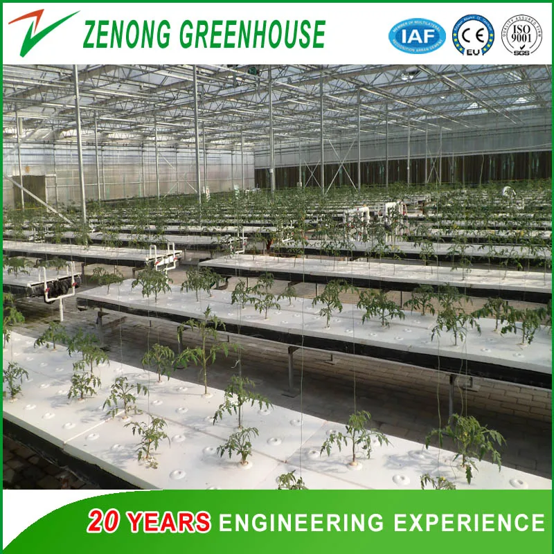 Hydroponic System Glass Greenhouse with Automatic Climate Control