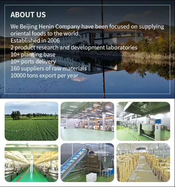 Japanese White Panko Bread Crumbs 1kg & 5kg Flavoring Agents Dried Food Colorants Nutrition Enhancing Agents batter & breader