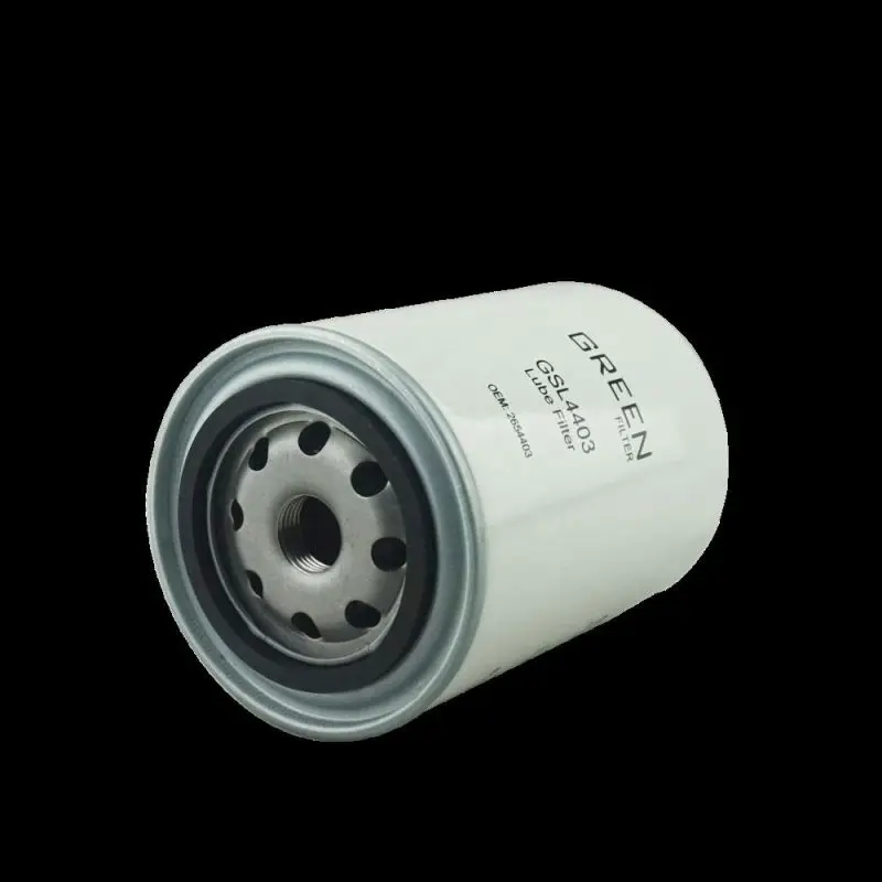 2654403 Engine Oil Filter Auto Engine LF701 51452 51068 51806 BT216 	B2 P554403 P550008