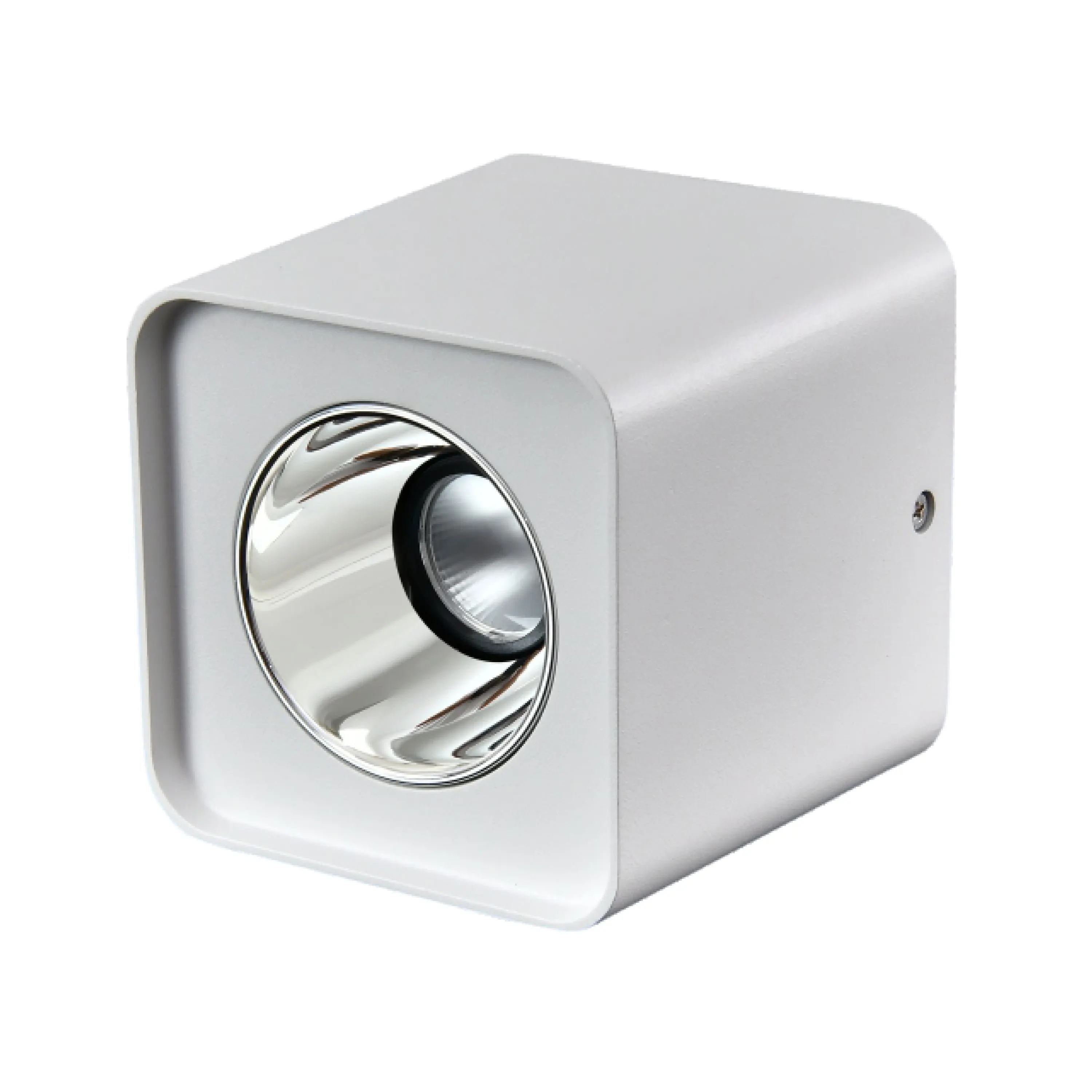 Surface Flush Mounted 8W 100-240V LED COB Focus Ceiling Light