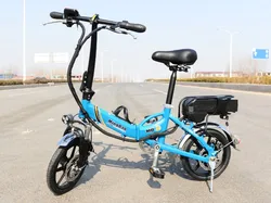 made in China e-bike cheap electric bike