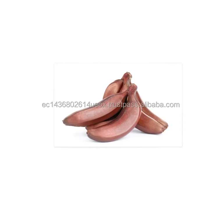 
100% Natual Organic fresh red banana red banana Delicious Taste Hot Sale Products 