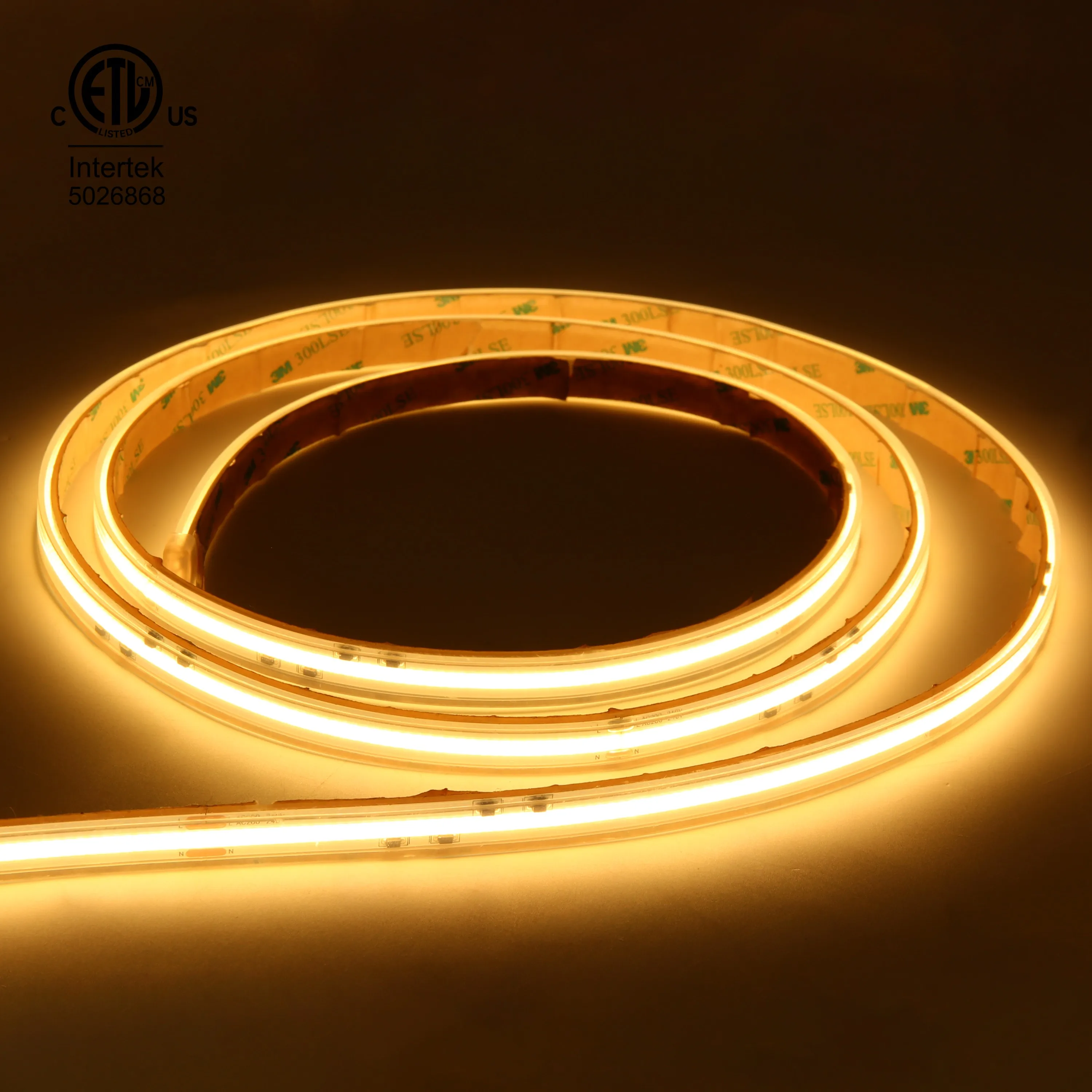 Raymates 110V 2700K 420leds cob strip light for indoor and outdoor American standard plug high voltage flexible cob strip light