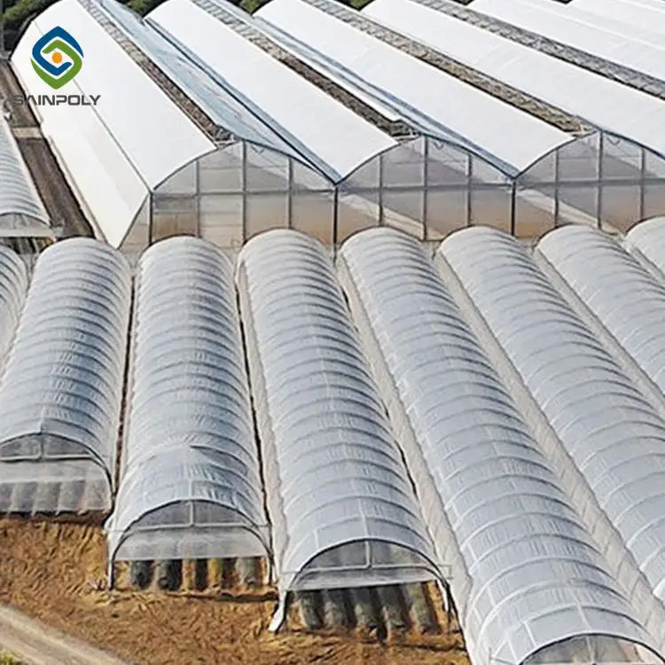 Low tunnel greenhouse plastic film agricultural house