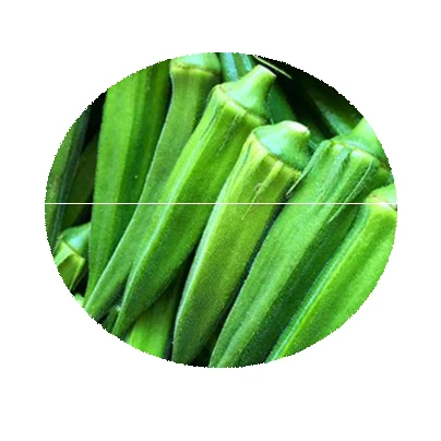 Good Quality F1 Hybrid green Okra Seeds