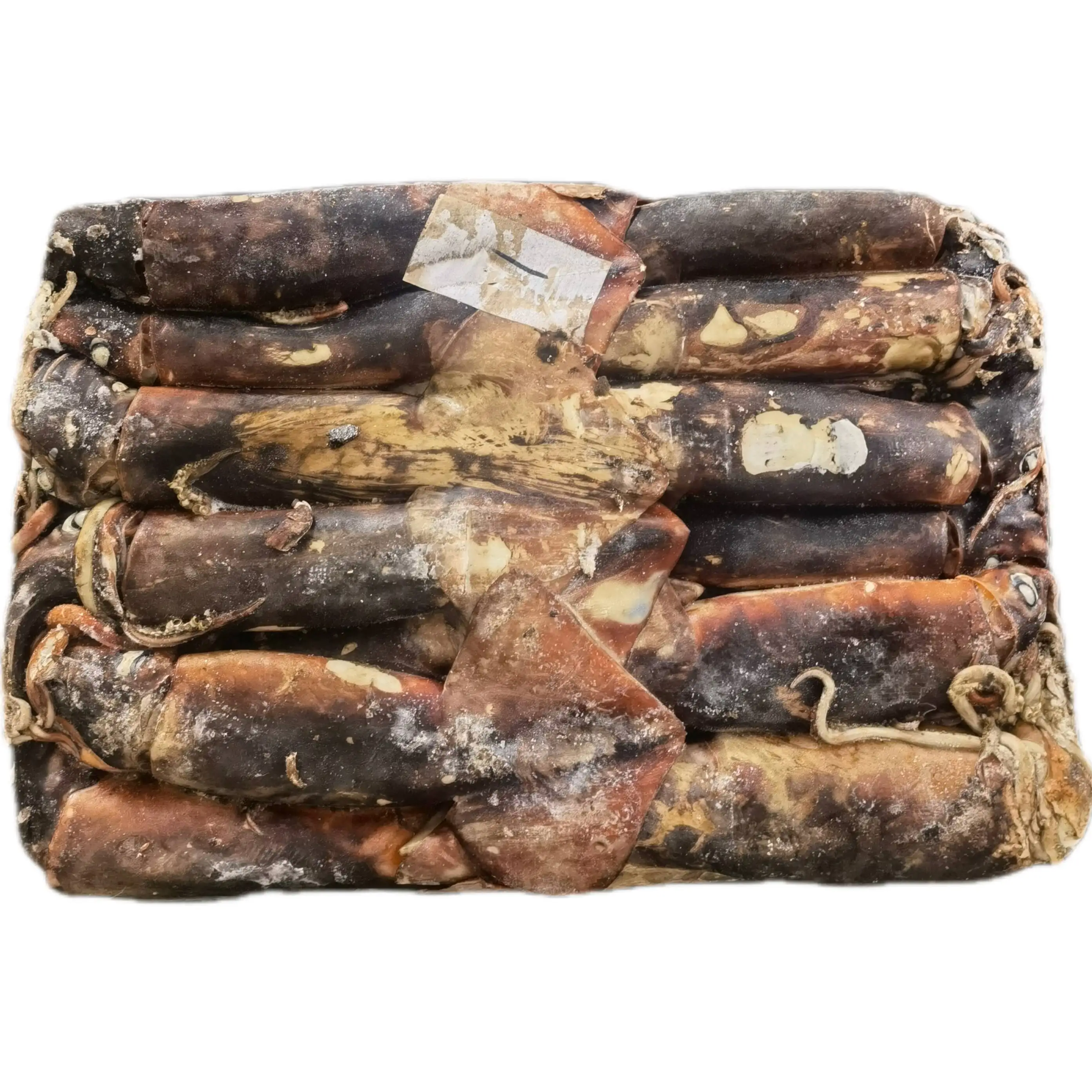 High Quality Natural Frozen Whole Squid Frozen Calamari Frozen Giant Squid