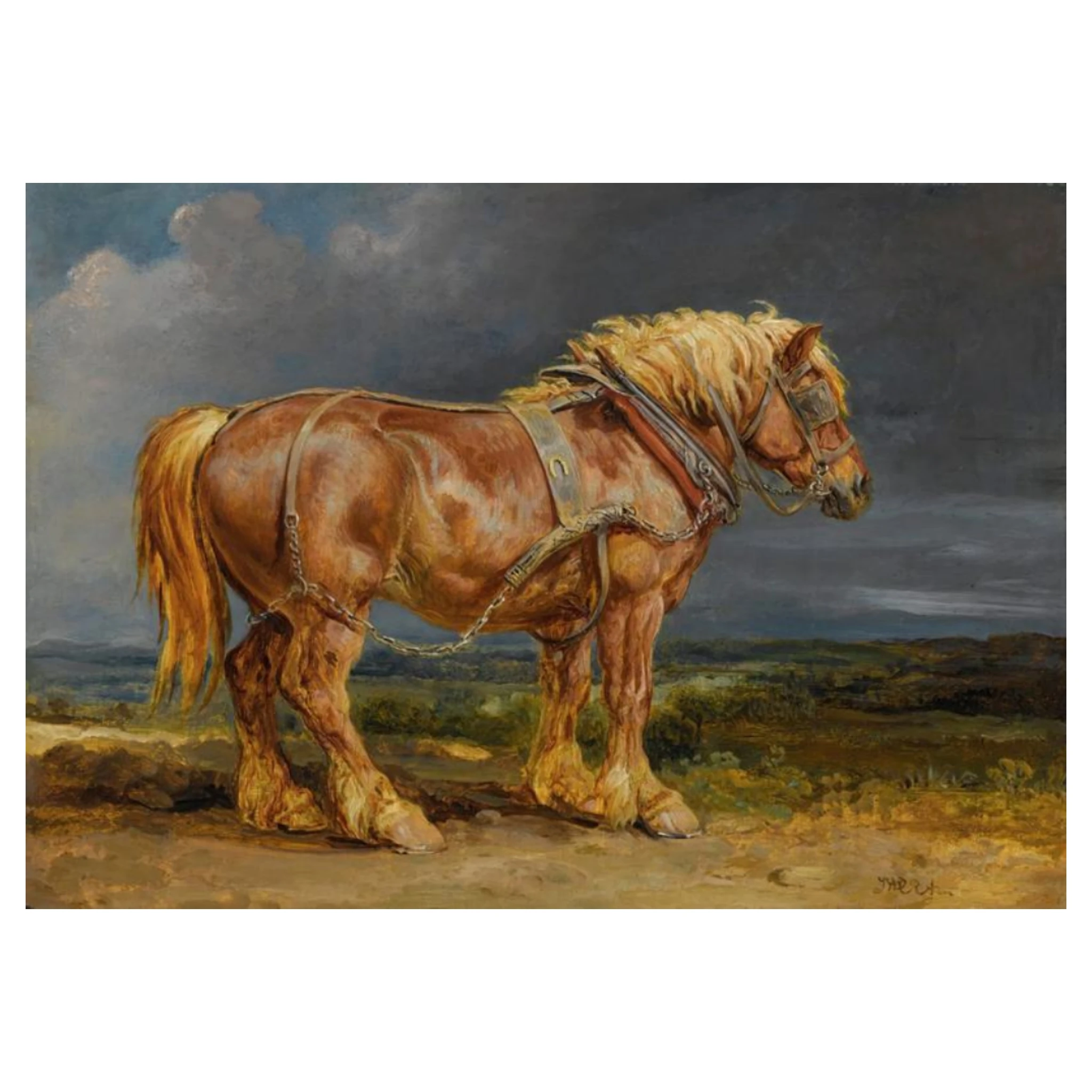 High quality Animal Horses Pattern Printed Canvas Pictures Artwork hand drawn oil painting