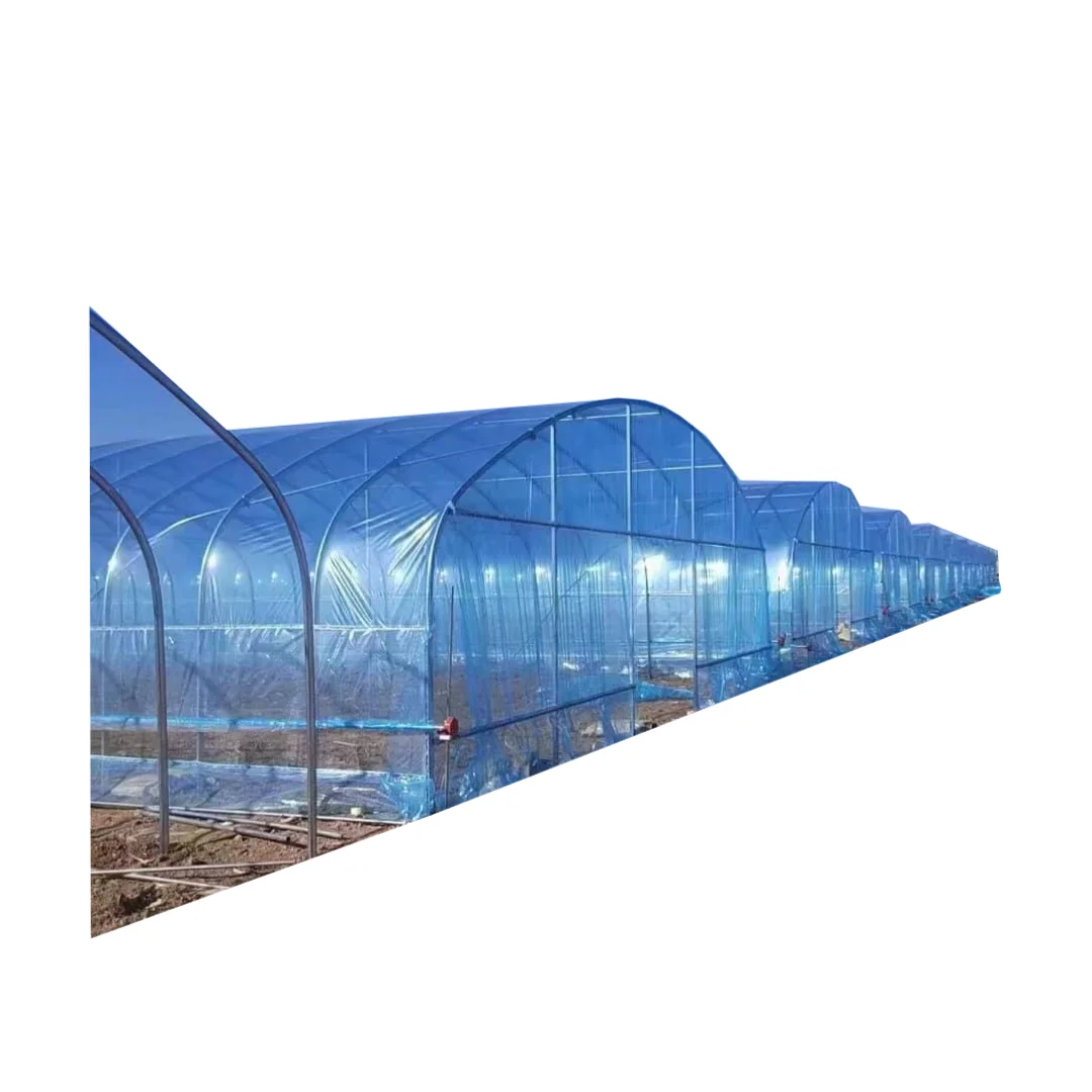 Factory Price High Efficient PO Film Greenhouse Multi Span Commercial Wholesale
