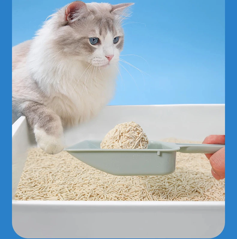 Tofu cat litter (15)