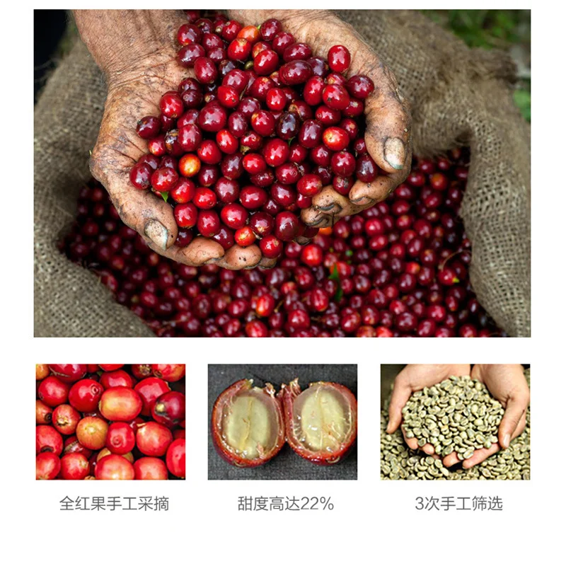 Yunnan маленький кофе Арабика железная кофейная зерна свежие жареные