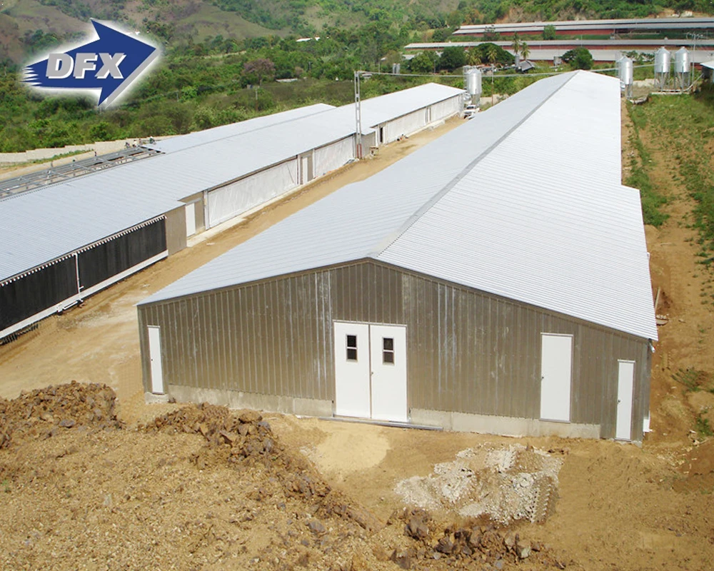 Prefabricated steel structure broiler chicken farm shed house for sale in Philippines