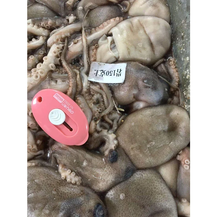 Wholesale High Quality Delicious Big Frozen Octopus