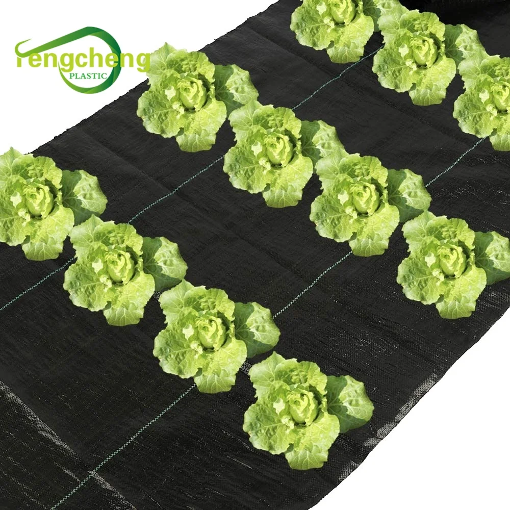 Wholesale Durable Tear-resistant Root Protection PP Woven Mulching Ground Cover Grass Control Fabric Mat For Garden