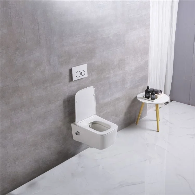 European inodoro ceramic wc wall mounted toilets  with bidet function