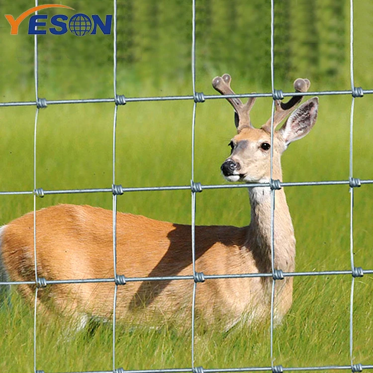 Grassland Filed Cattle Horse Cow Animal Farm Wire Mesh Fence with Y T Post
