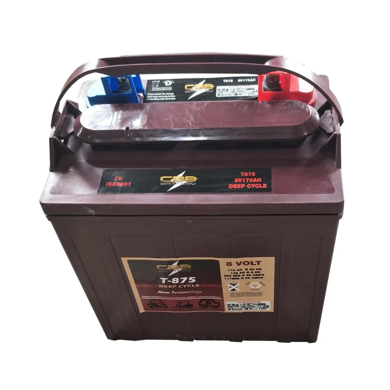 8V 170Ah T-875 Deep Cycle Battery For Golf Cart, Sweeper