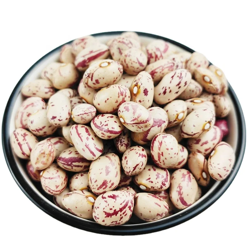 Round type Best Quality Sugar beans Light Speckled Kidney Beans