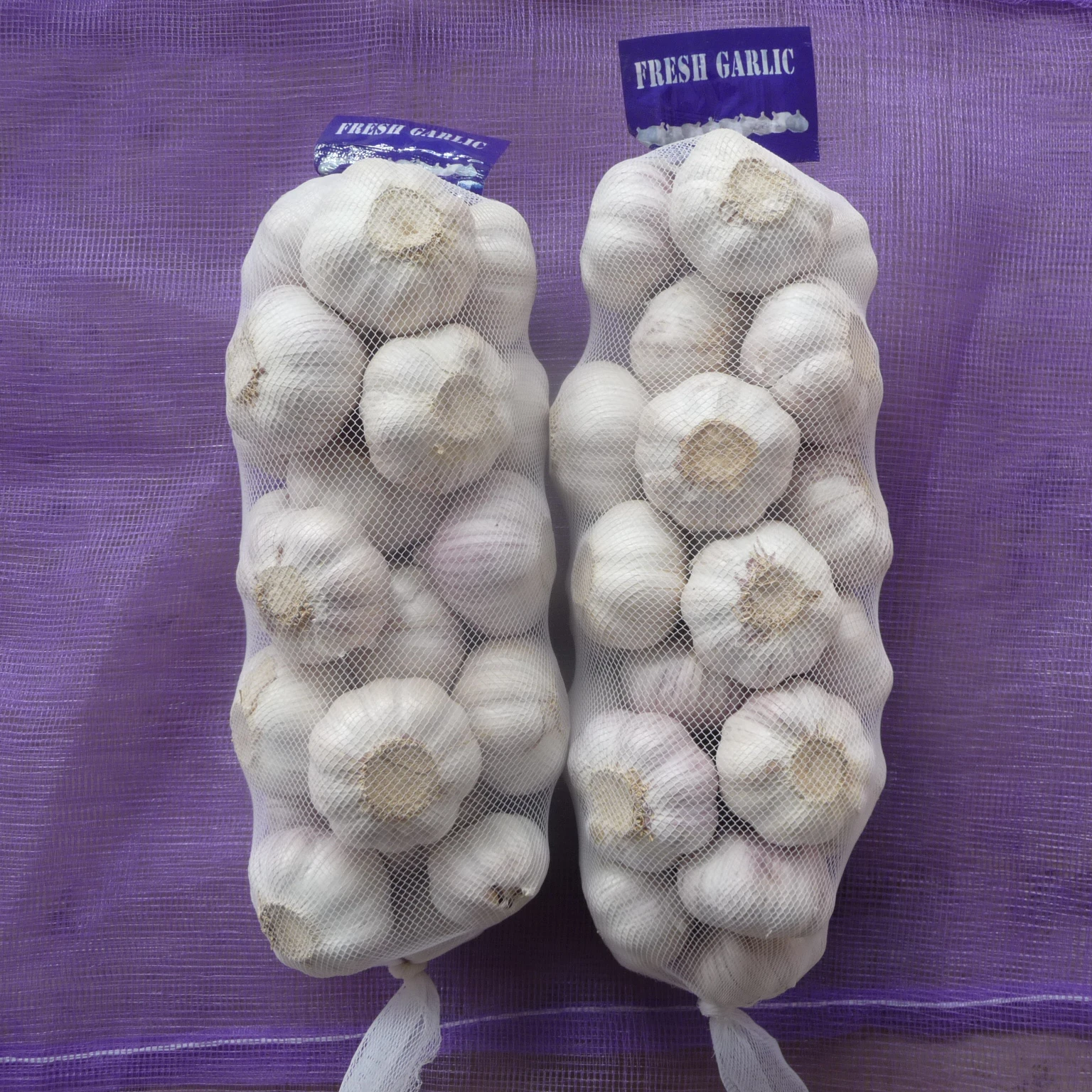 fresh ginger and garlic fresh in bulk from Shandong Sinofarm supplier