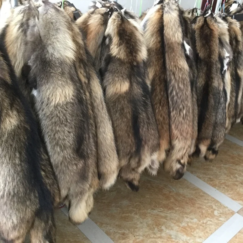 XJ  Wholesale High Quality Super Soft Fluffy Large Natural Animal Pelt Real Raccoon Fur skin
