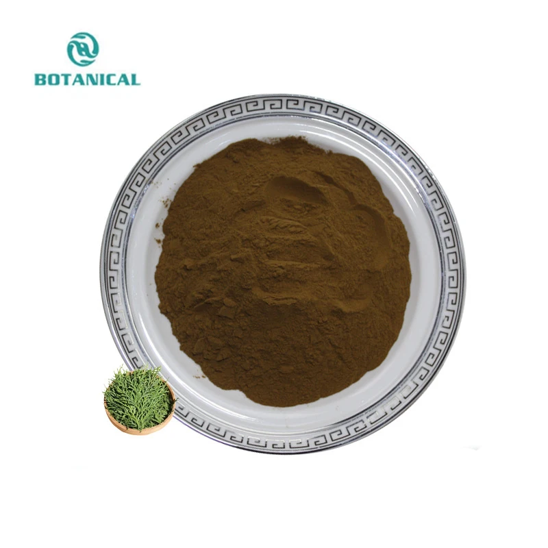 Healthcare Thuja Leaf Extract Powder Natural Brown Hair Care Raw Material Thuja Leaf Extract