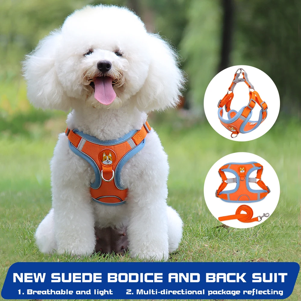 Free Sample Breathable Mesh Nylon Security Pattern Strap Best Pet Dog Harness With Collar Leash Dog Harness Collar Set
