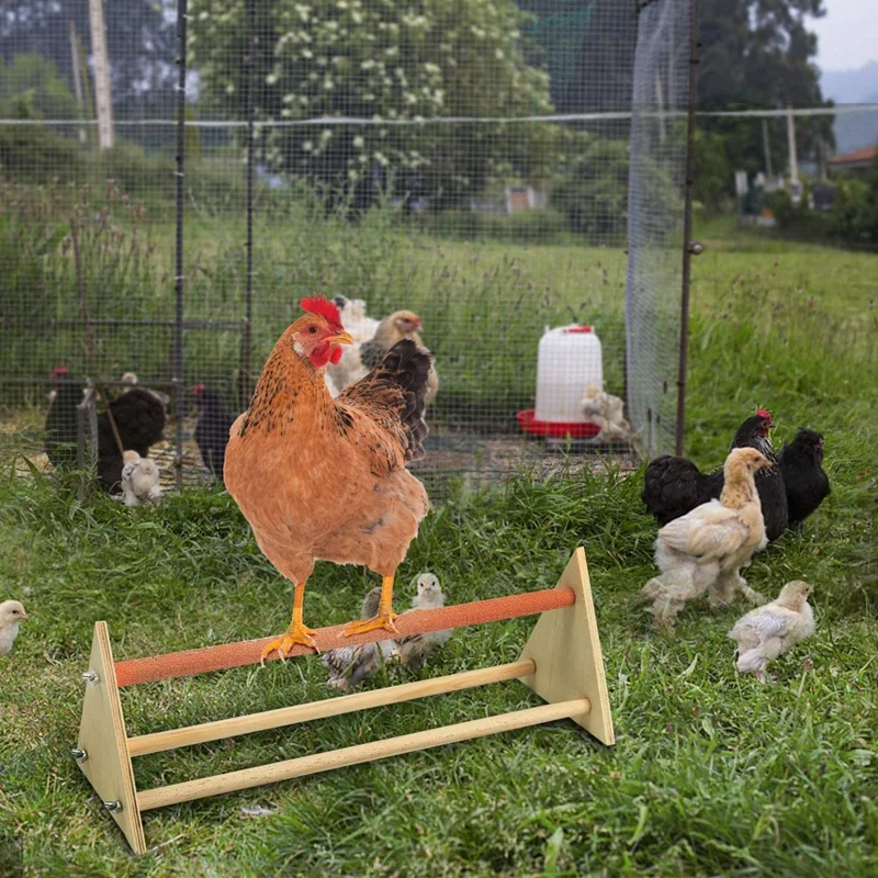90(W)X25(H)cm Chicken Feet Stand Hen Parrot Large Bird Wooden Swing Chicken Stand Durable Chicken Toys for Hens Standing Rack