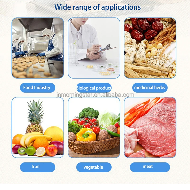 Hot selling automatic food Vegetables Seafood Fruits vacuum freeze dryer Lyophilizer dehydration Machine Equipment Factory price