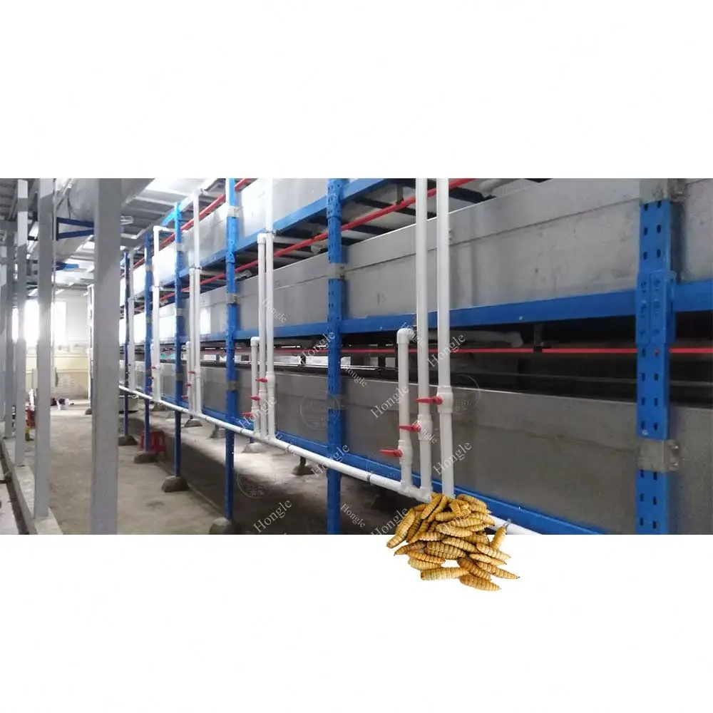 Professional Shredder Waste Food Oil Recycling Machine Larvae Farming Insect Black Soldier Fly Breeding Box