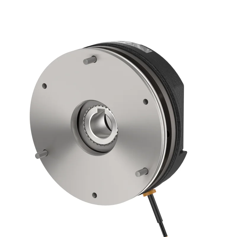DZS3-05N Electric power brake floodgate