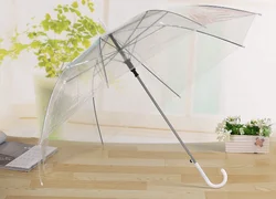 Модный прозрачный зонт с логотипом на заказ