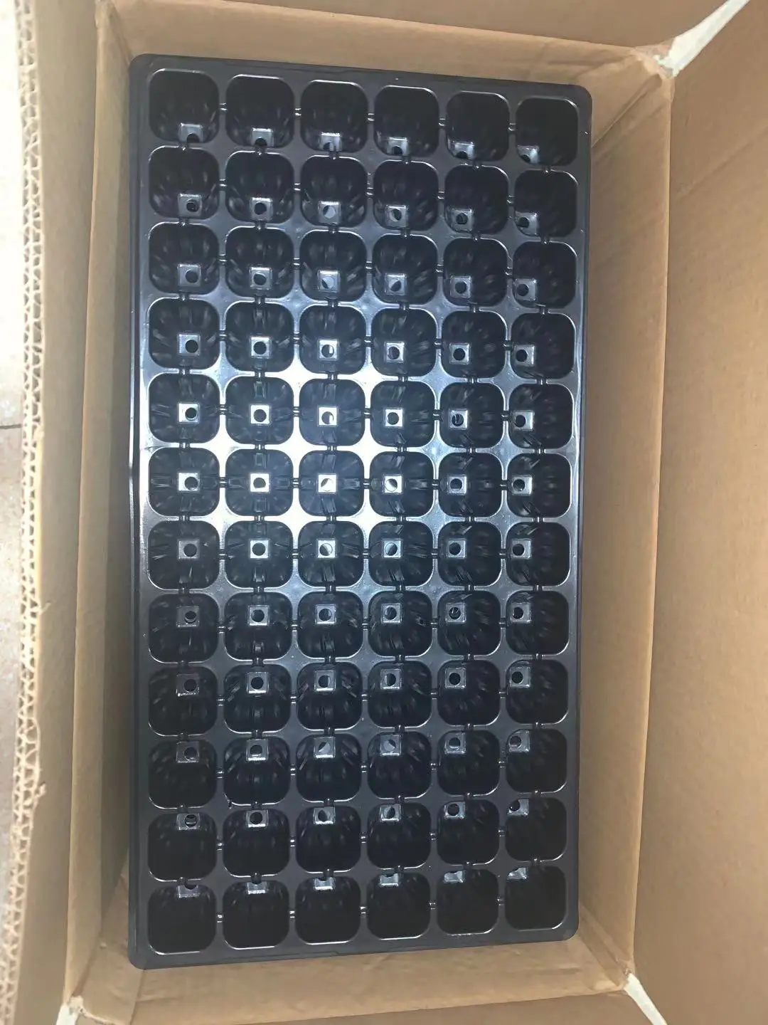Vegetable Chili Pepper Succulent Strawberry Grow Seedling 72 Hole Tray PS Material 150g 100pcs Seedling Tray