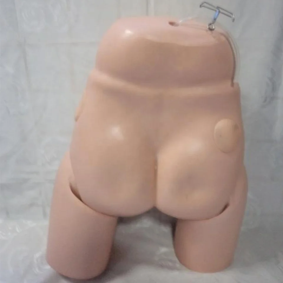Advanced High Quality Human Nursing Training model  female Catheterization enama medical Model