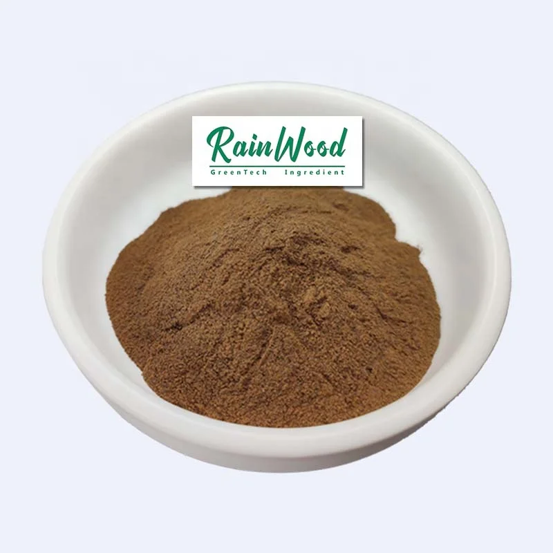 Rainwood supply high quality natural green tea extract powder tea polyphenols Green Tea Extract