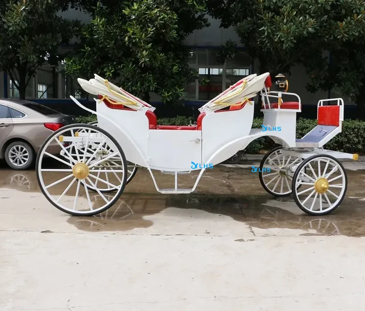 Special transportation for sightseeing electric tourist horse buggy carriage royal horse carriage manufacturer