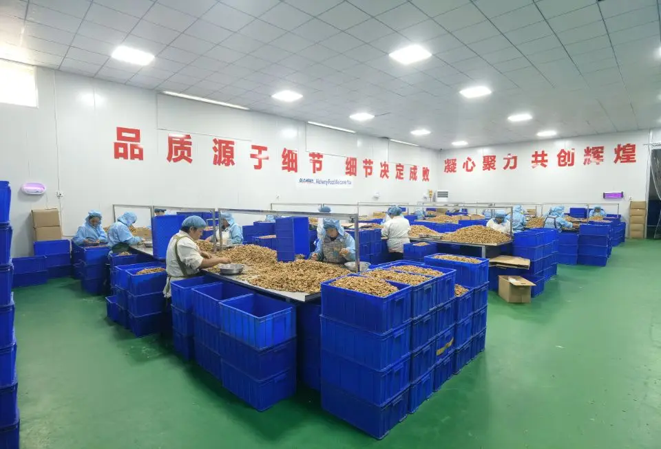 wholesale cheapest raw broken vietnam cashew nuts kernel price w320 w240 for sale