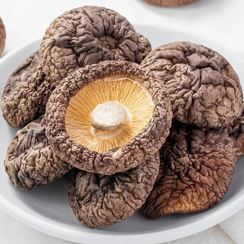 Certified Quality Button Mushroom Spawn White Agaricus Bisporus Mushroom