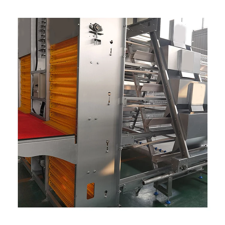 H Type Automatic Chicken Equipment Battery Cage System For Egg Laying Poultry Farming