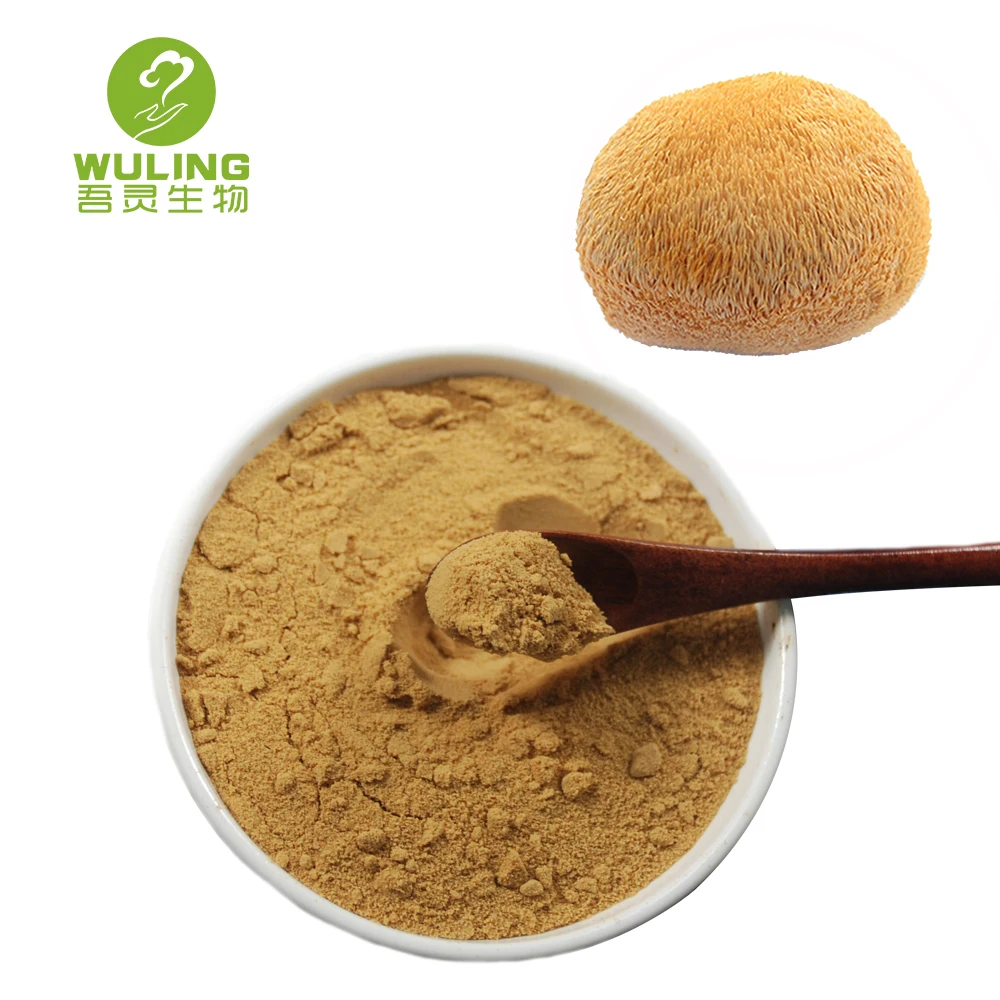 Диетическая добавка, 100% растворимый в воде порошок гривы льва, порошок гриба, экстракт травы обыкновенной, пищевые добавки, 100 сетка