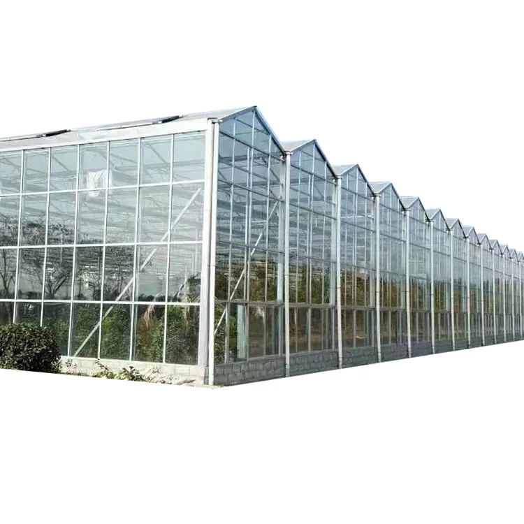 glass green house/hydroponic greenhouse growing systems/low cost green house