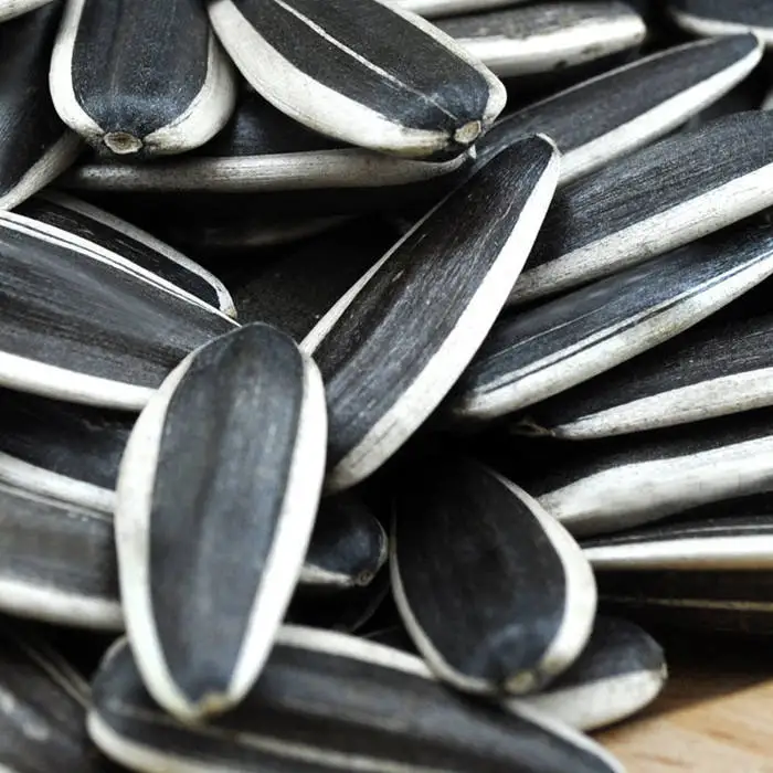 363 Sunflower Seeds Ton Price Sunflower Seeds for Sales for Oil Sunflower Seed Bag Chinese 50kg 100% Natural Confectionery