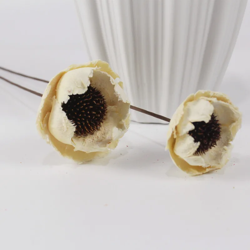 Long lasting dried flower handmade corn poppy flower for for big sales