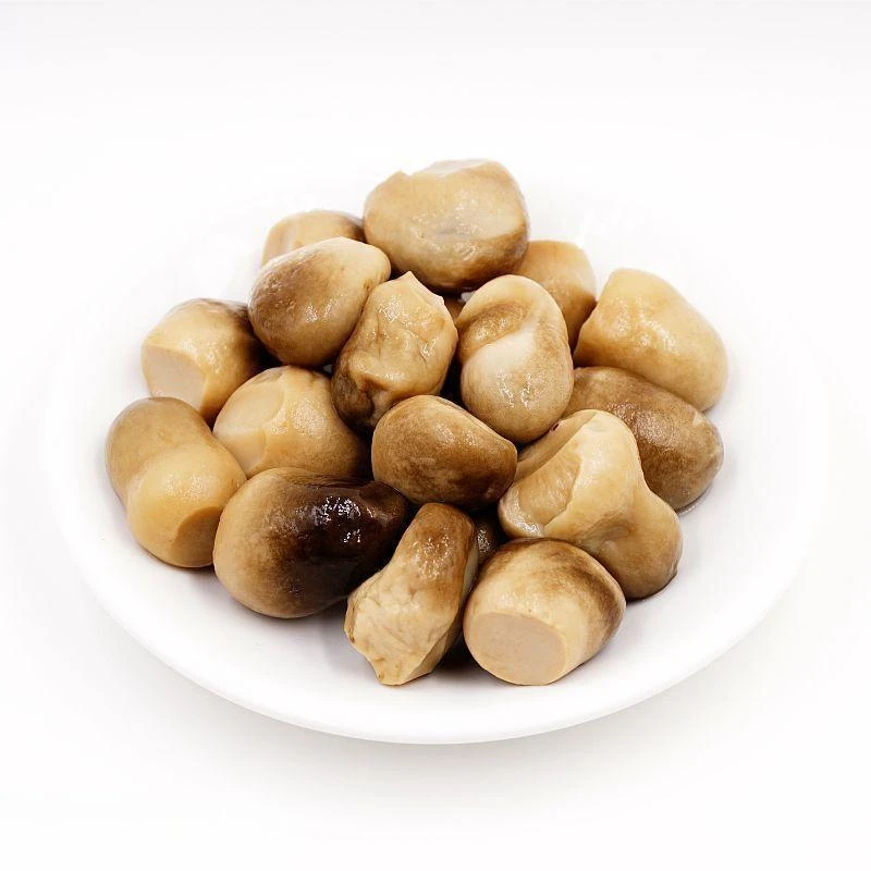 Canned Straw Mushroom in Halves in Brine Canned Food