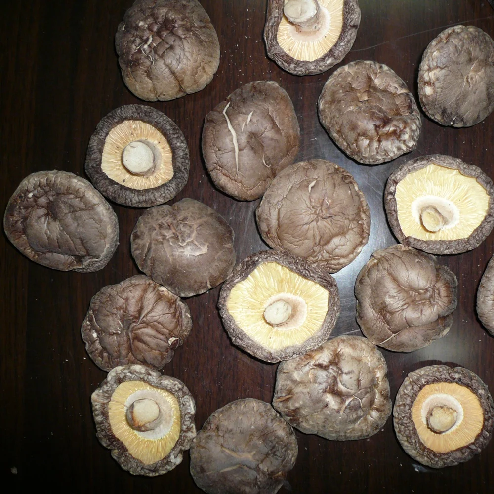 Высокое качество маленькие сушеные шиитаке грибы сянгу