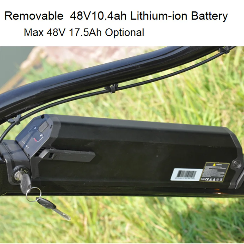Removbale 48v 17.5ah li-ion battery 500w family cargo belt drive electric bicycle