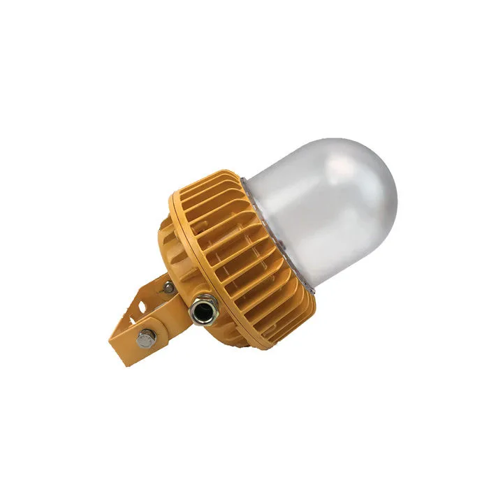 LEDUN 360 Degree Flood Illumination 60w, 80W Ip66 Atex Approved Explosion Proof Lights Manufacturer for Chemical Factory